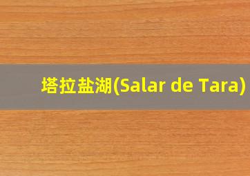 塔拉盐湖(Salar de Tara)